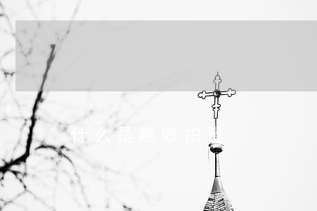 什么是無效拍賣？